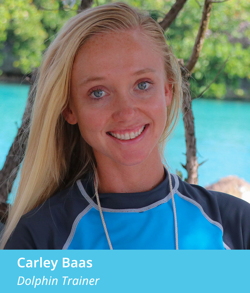 Carley Bass