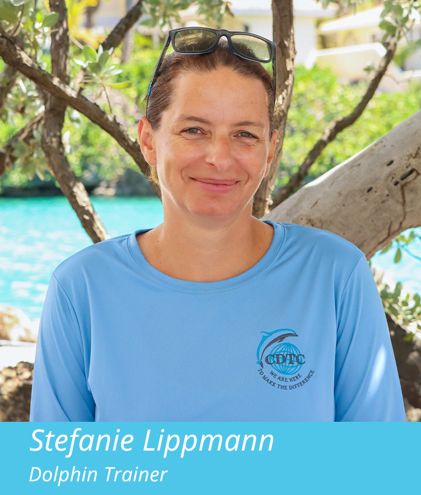 Stefanie Lippmann